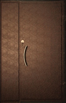 Железная тамбурная дверь Страж-3